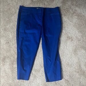 New York & Company Vibrant Blue Capris